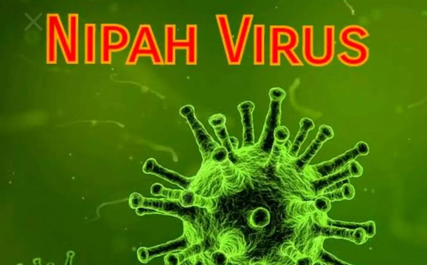 പ്രതിരോധം പ്രധാനം: നിപ വൈറസ് അറിയേണ്ടതെല്ലാം