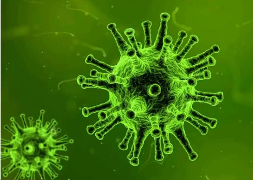 നിപ : സമ്പർക്കമുണ്ടായവരുടെ പട്ടികയിൽ 6 പേരെ കൂടി ഉൾപ്പെടുത്തി