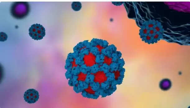 കേരളത്തില്‍​ നോറോ വൈറസ് സ്ഥിരീകരിച്ചു