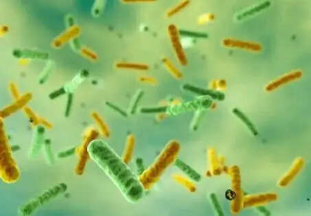 കോഴിക്കോട് കോട്ടാംപറമ്പ് മുണ്ടിക്കൽതാഴം ഭാഗത്ത് ഷിഗെല്ല ബാക്ടീരിയമൂലമുള്ള രോഗം സ്ഥിരീകരിച്ച