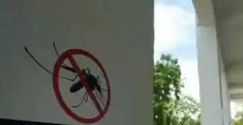 അപകടകാരിയായ സെറൊ ടൈപ്പ് -2 ഡെങ്കി വൈറസ്; കേരളം അടക്കം 11 സംസ്ഥാനങ്ങൾക്ക് മുന്നറിയിപ്പ്