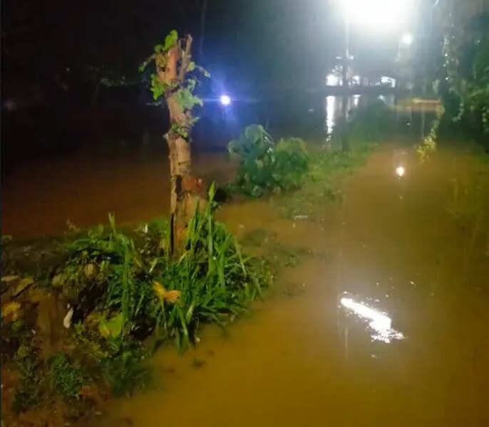 rain