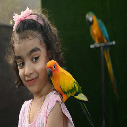 pix