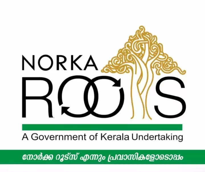 expat entrepreneurs_ Norka roots _Free_ training_ program