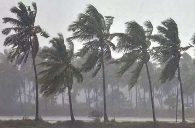 rain