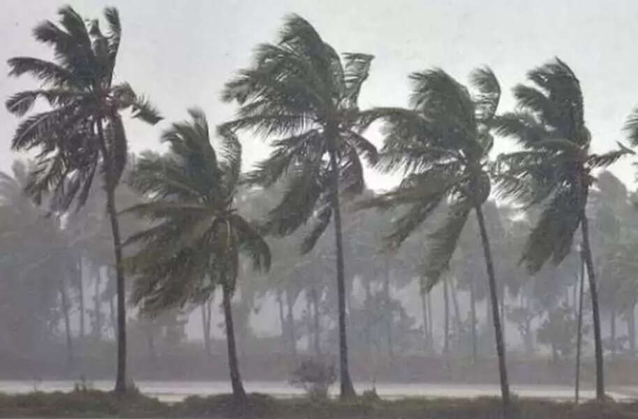 rain