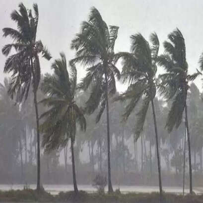 rain