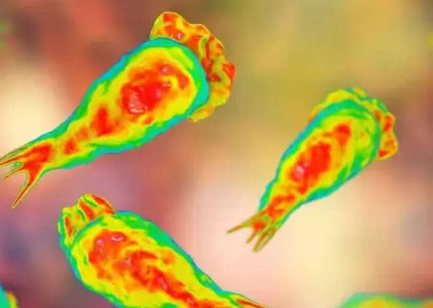 health