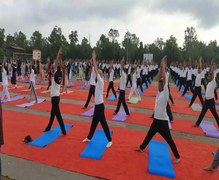 yogo