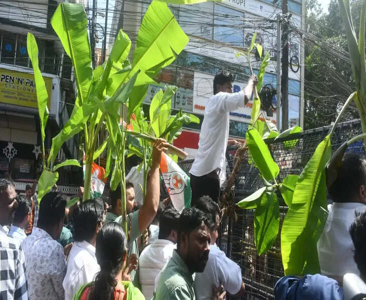 congress